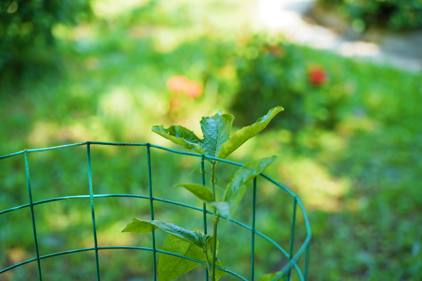 云顶国际(Malaysia)集团官方网站