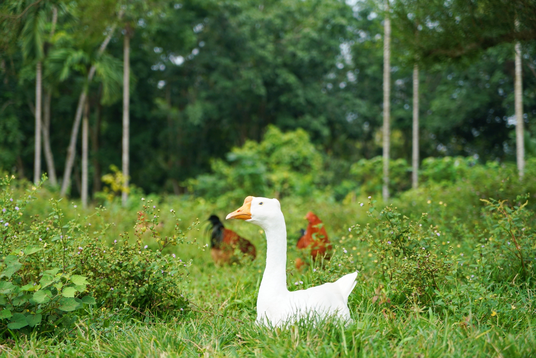 云顶国际(Malaysia)集团官方网站