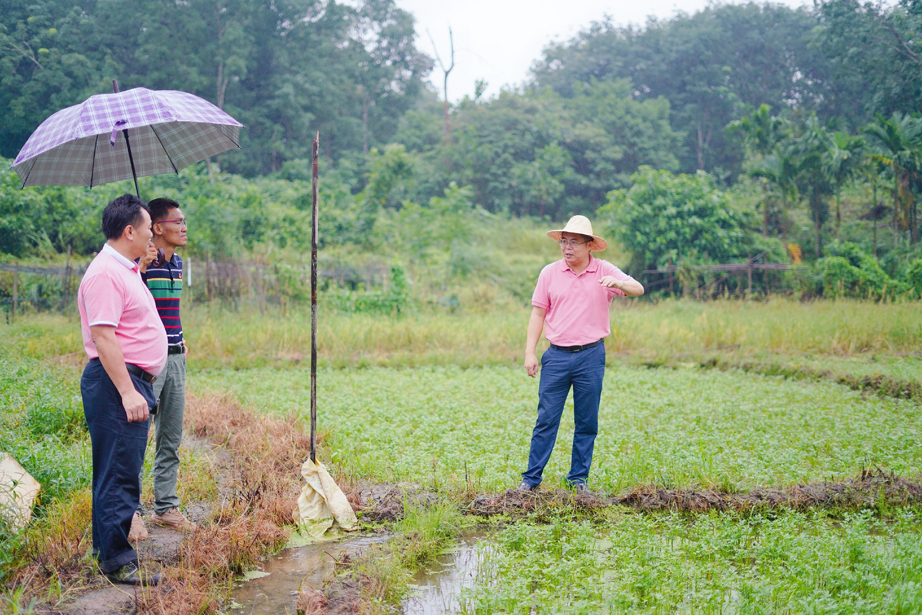 云顶国际(Malaysia)集团官方网站
