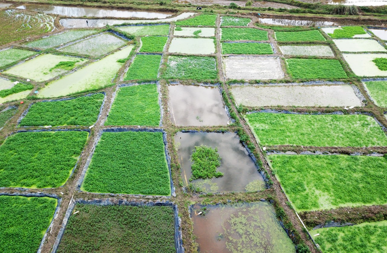 云顶国际(Malaysia)集团官方网站